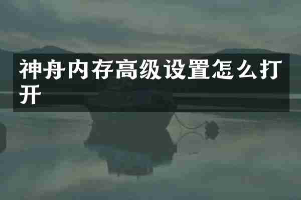 神舟内存高级设置怎么打开