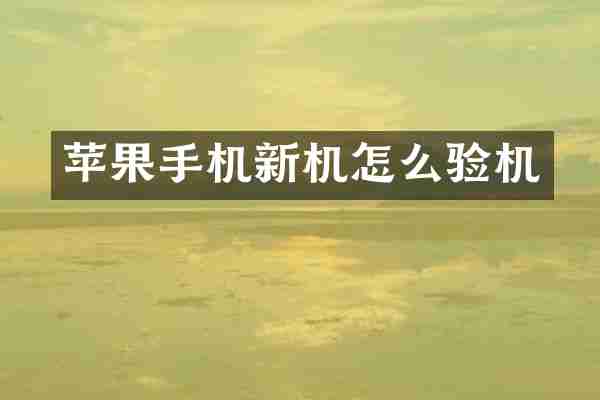 苹果手机新机怎么验机