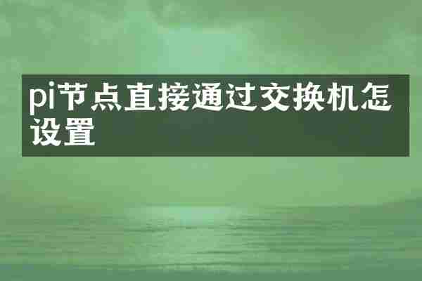 pi节点直接通过交换机怎么设置