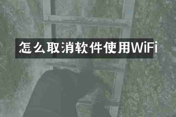 怎么取消软件使用WiFi