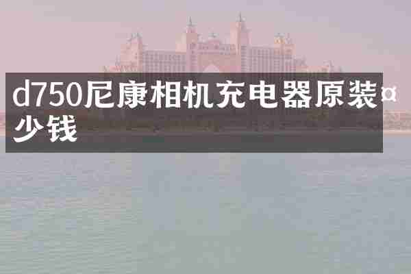 d750尼康相机充电器原装多少钱