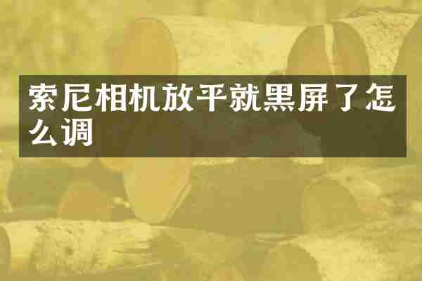 索尼相机放平就黑屏了怎么调