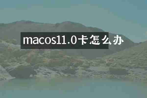 macos11.0卡怎么办