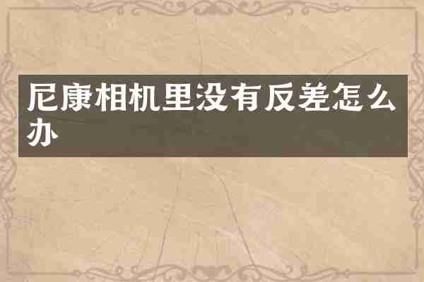 尼康相机里没有反差怎么办
