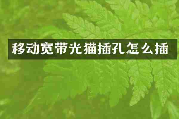 移动宽带光猫插孔怎么插