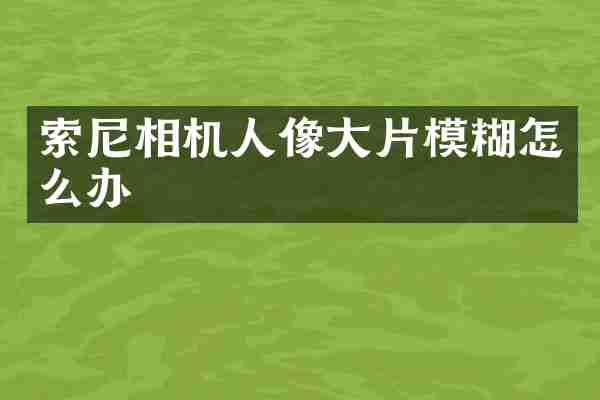 索尼相机人像大片模糊怎么办