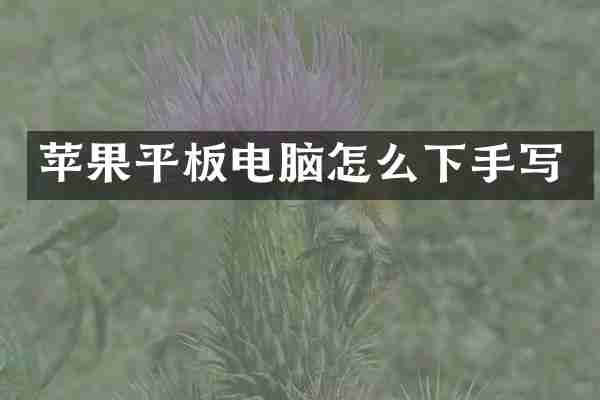 苹果平板电脑怎么下手写