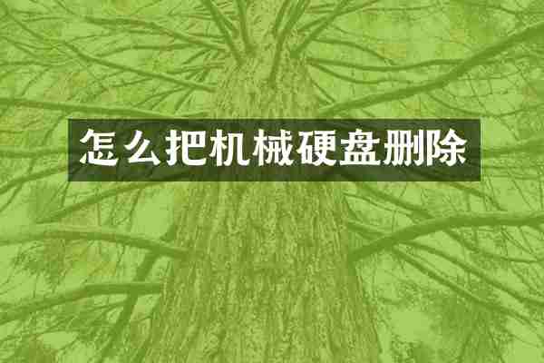 怎么把机械硬盘删除