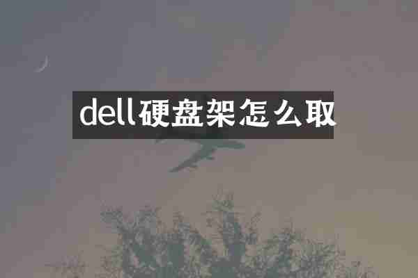 dell硬盘架怎么取