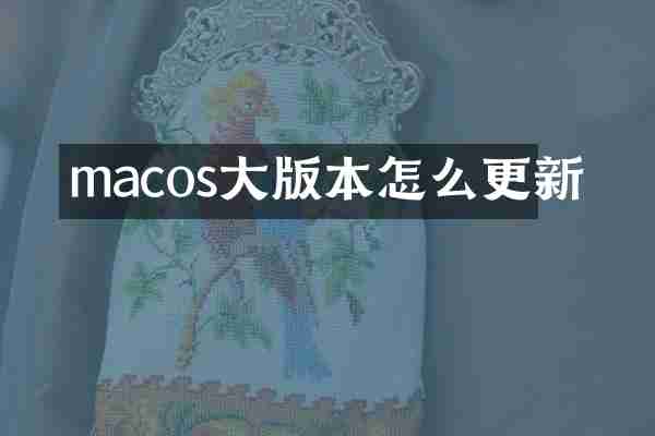 macos大版本怎么更新