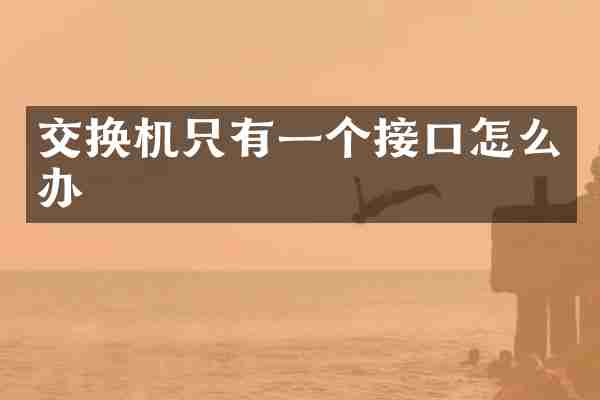 交换机只有一个接口怎么办
