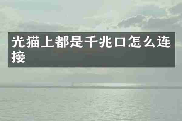 光猫上都是千兆口怎么连接