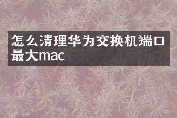 怎么清理华为交换机端口最大mac