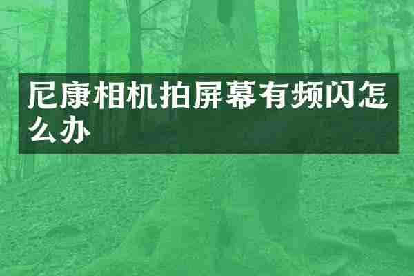 尼康相机拍屏幕有频闪怎么办