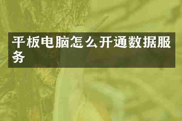 平板电脑怎么开通数据服务