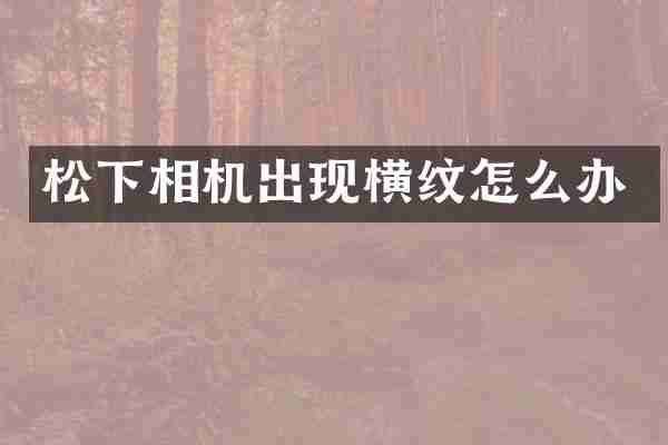 松下相机出现横纹怎么办
