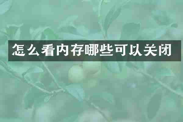 怎么看内存哪些可以关闭