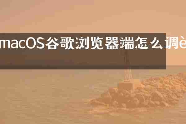 macOS谷歌浏览器端怎么调试