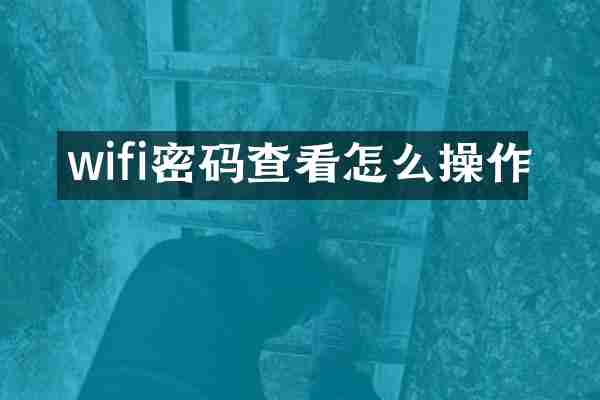 wifi密码查看怎么操作