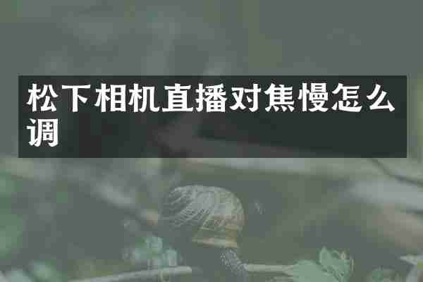 松下相机直播对焦慢怎么调