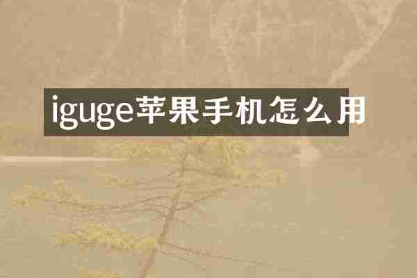 iguge苹果手机怎么用