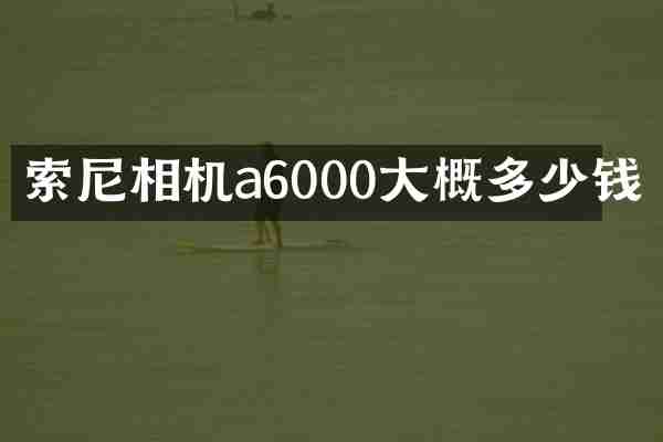 索尼相机a6000大概多少钱