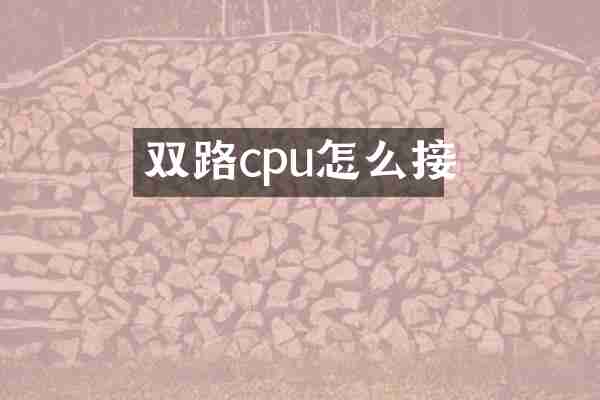 双路cpu怎么接