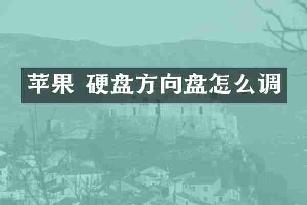 苹果 硬盘方向盘怎么调