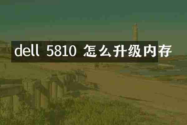 dell 5810 怎么升级内存
