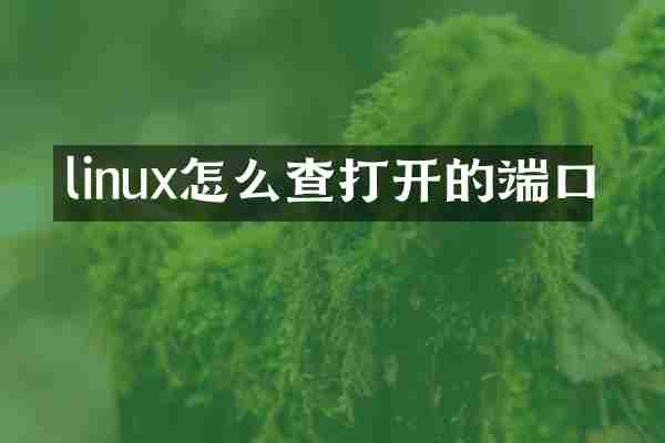 linux怎么查打开的端口