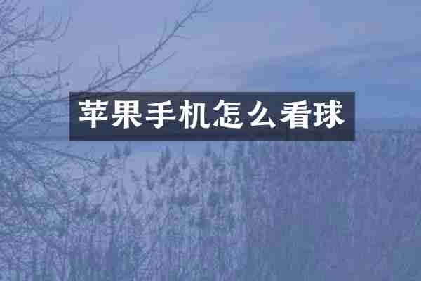 苹果手机怎么看球