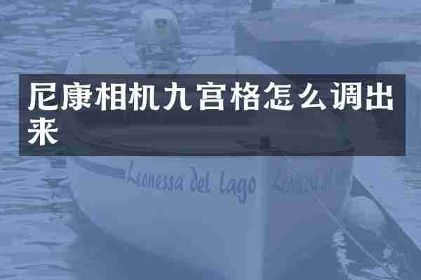 尼康相机九宫格怎么调出来