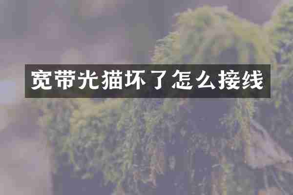 宽带光猫坏了怎么接线