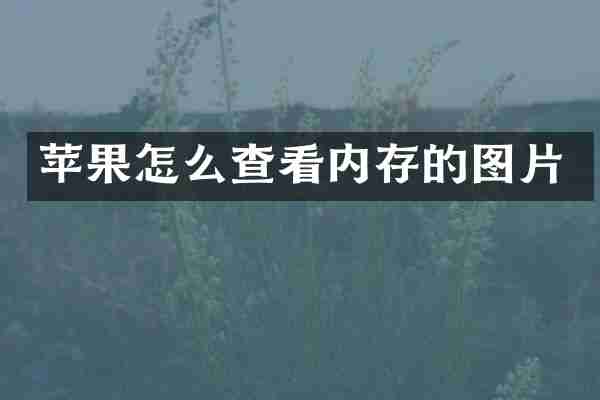 苹果怎么查看内存的图片