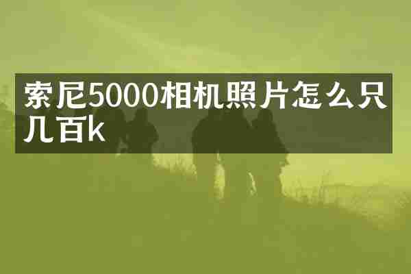 索尼5000相机照片怎么只有几百k