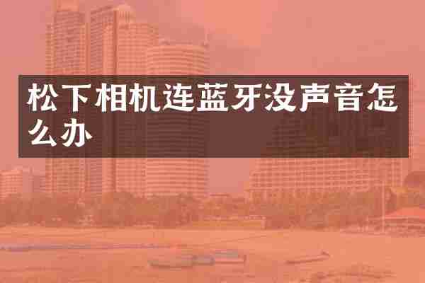 松下相机连蓝牙没声音怎么办