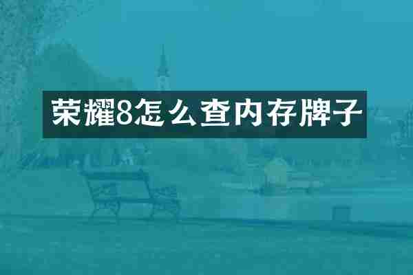 荣耀8怎么查内存牌子