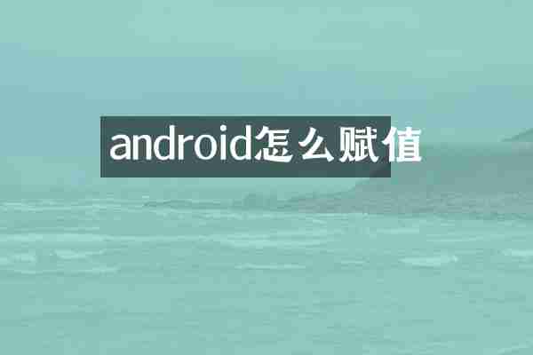 android怎么赋值