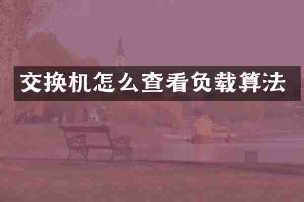 交换机怎么查看负载算法