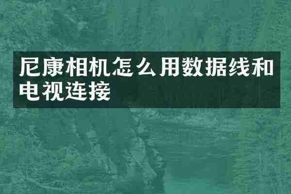 尼康相机怎么用数据线和电视连接