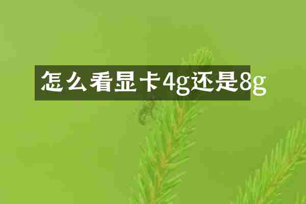 怎么看显卡4g还是8g