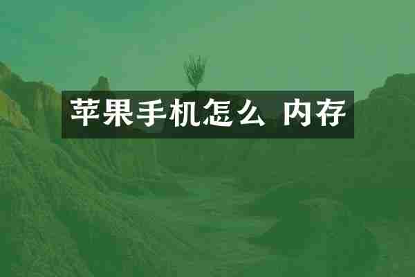苹果手机怎么 内存