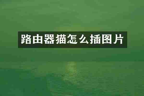 路由器猫怎么插图片