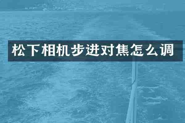 松下相机步进对焦怎么调