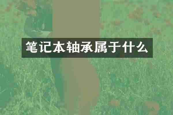 笔记本轴承属于什么