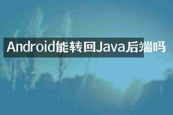 Android能转回Java后端吗