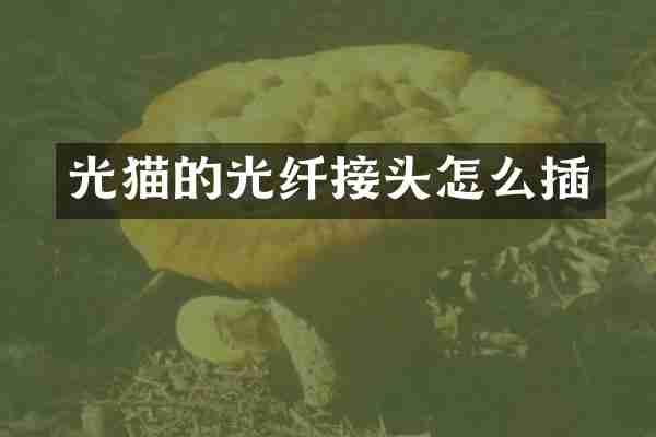 光猫的光纤接头怎么插