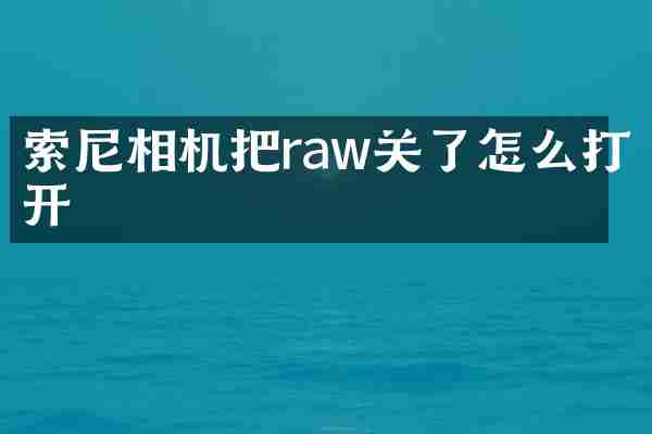 索尼相机把raw关了怎么打开