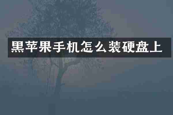 黑苹果手机怎么装硬盘上