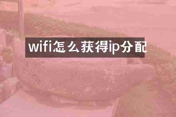 wifi怎么获得ip分配